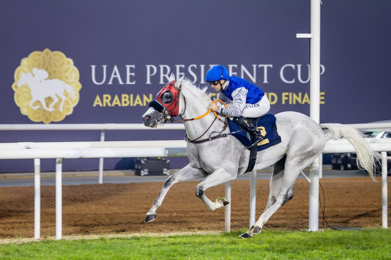 Al Laith and jockey Richard Mullen, in blue, racing past the UAE President Cup banner at Abu Dhabi