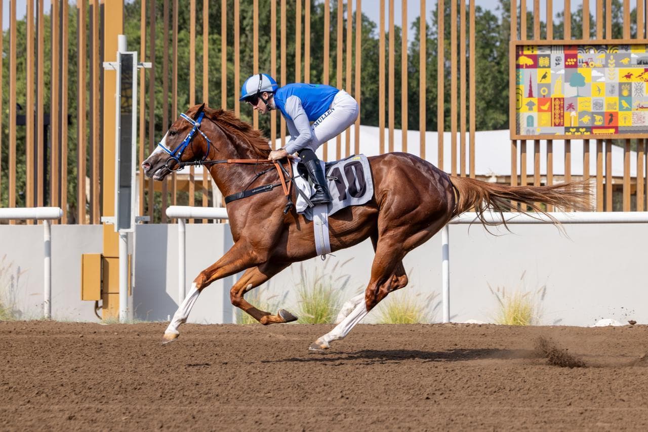 Al Leith Thunder and jockey Richard Mullen, in blue, galloping on the dirt track at Jebel Ali