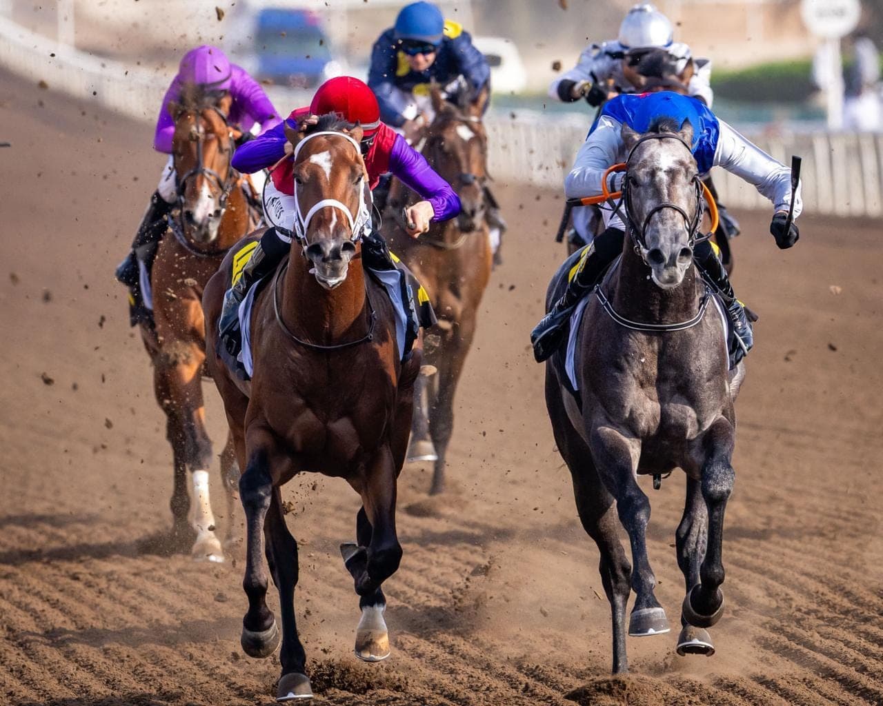 Two jockeys racing neck and neck on a dirt track, a bay horse beside a grey one, with the field behind them