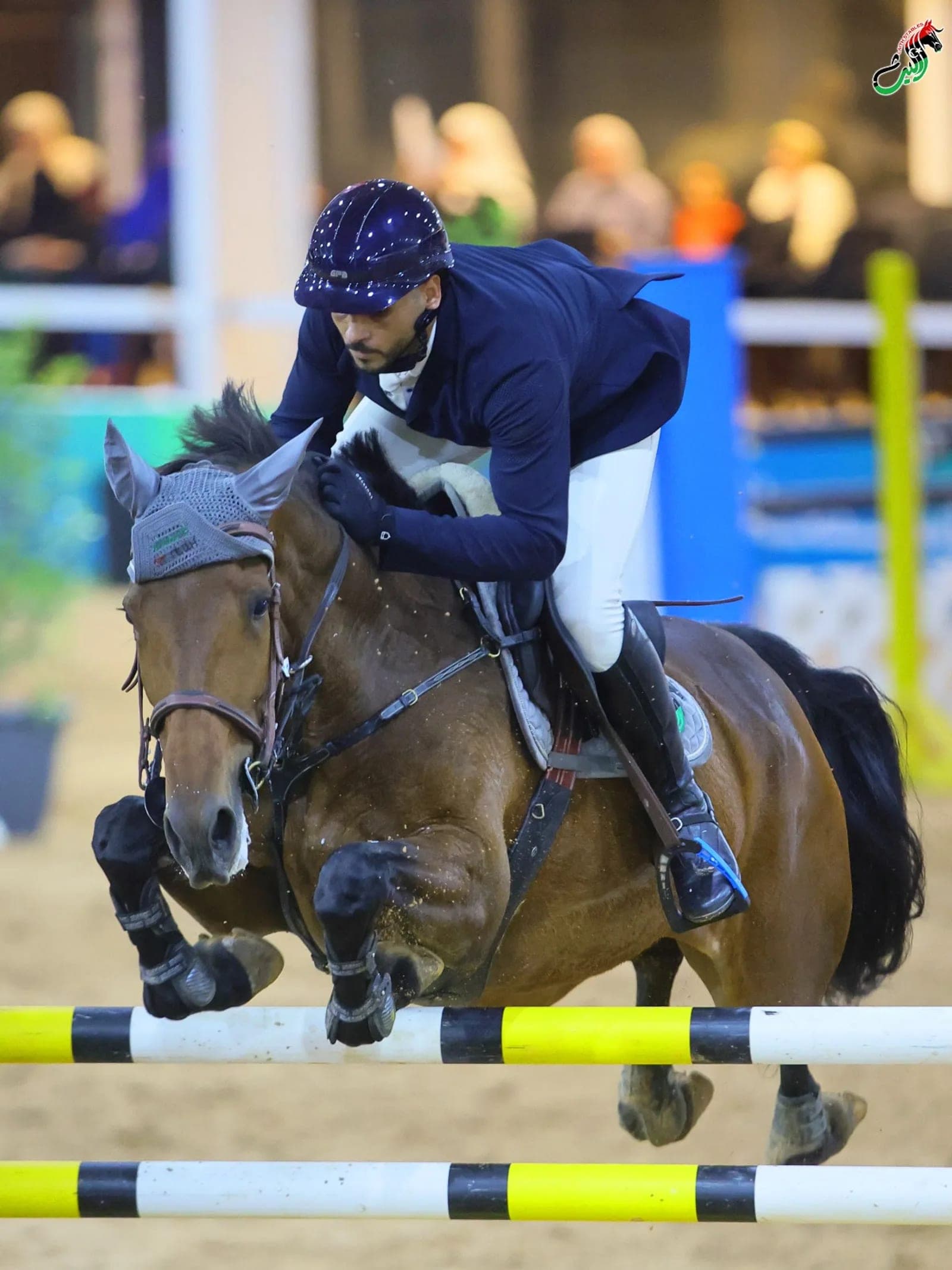 A rider in navy jumps a brown horse head-on over a yellow and black fence