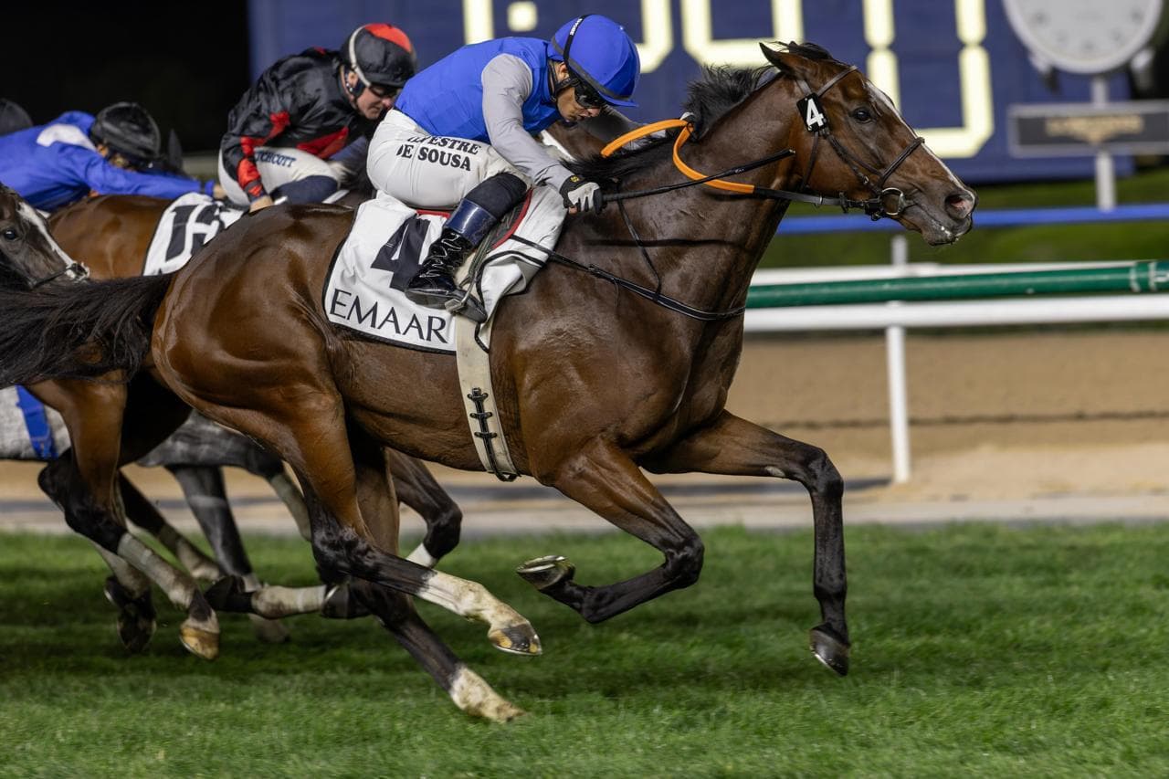 Vercors and jockey Silvestre De Sousa, in blue, racing on the turf at Meydan under the lights